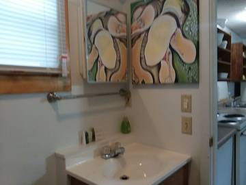 Vacation House for 4 Guests in Blue Ridge Mountains, Tennessee, Picture 1