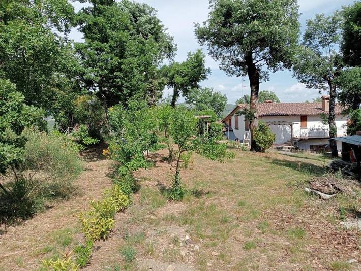Appartamento per 4 persone, con terrazza e panorama nonché giardino, con animali domestici in Caprese Michelangelo