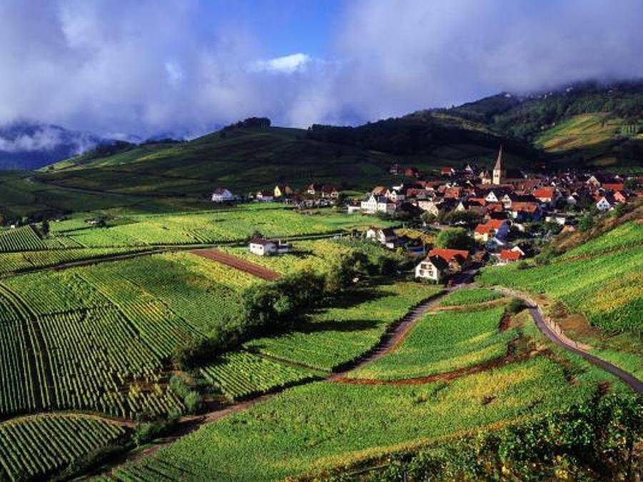 Village vacances - La Petite Pierre - Gîte 4 personnes - Gîte 4 personnes in La Petite-Pierre, Région de Saverne