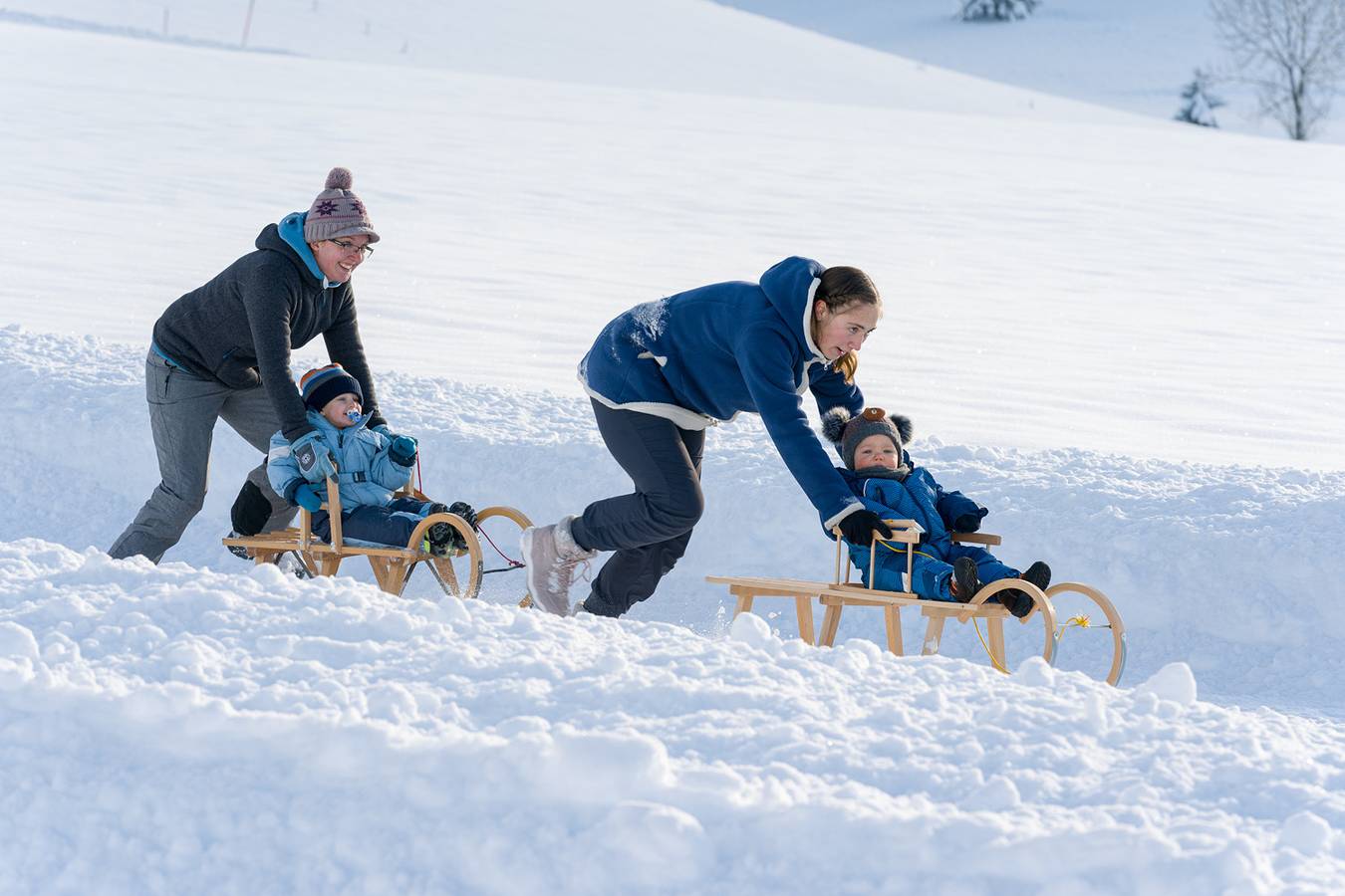 Ganze Ferienwohnung, Bio-Kinderbauernhof Wilmershof - Ferienwohnung Piepmatz, 28qm, 1 Schlafzimmer, max. 3 Personen in Schwärzenbach, Titisee-Neustadt