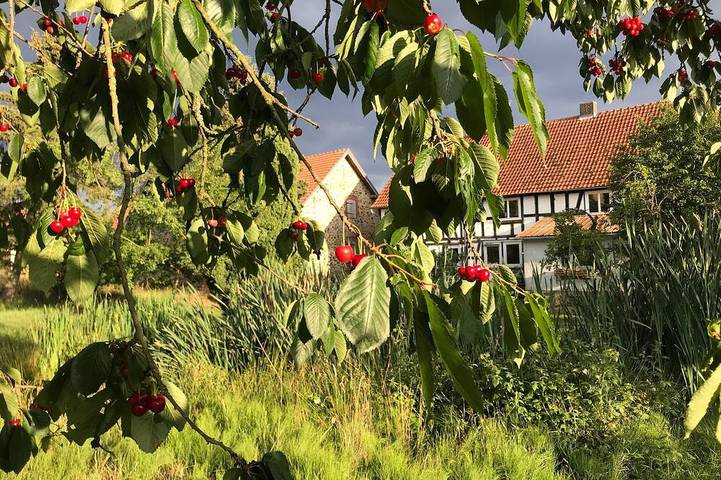 Bauernhof für 8 Personen, mit Terrasse und Garten