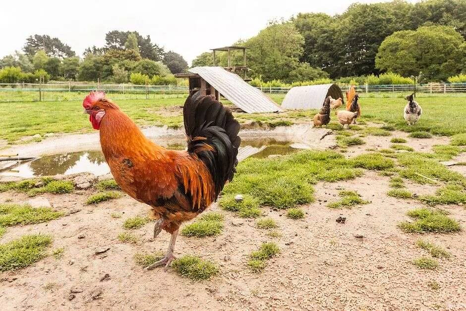 Kota Eden insolite 2 pièces 2 personnes in Saint-Michel-en-Grève, Ceinture Dorée