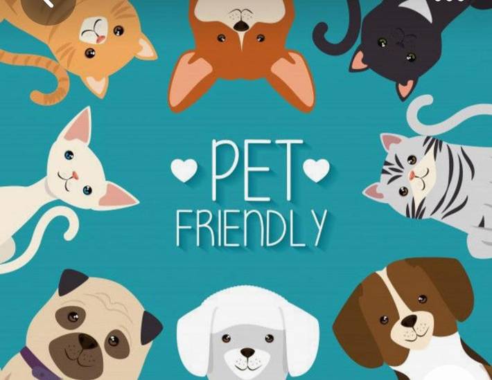 Hôtel pour 2 personnes, avec vue et terrasse, animaux acceptés à Torla - 3