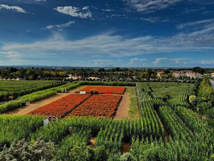 Appartamento per 8 persone, con Balcone e Terrazza nonché Panorama in Provincia di Caserta