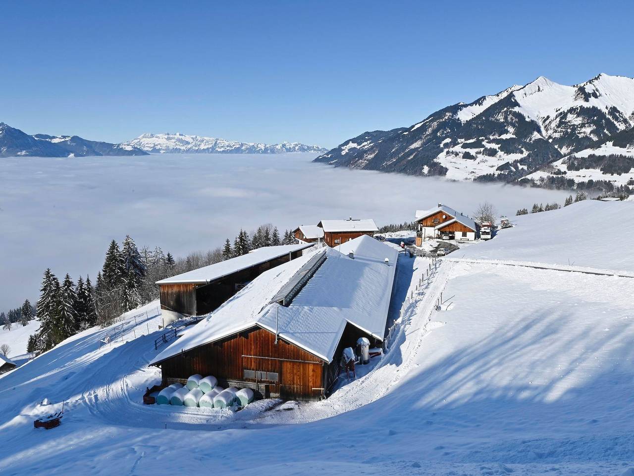 Ganze Ferienwohnung, Berghof Burtscher - Fewo Grüneck in Ludesch, Lechquellengebirge