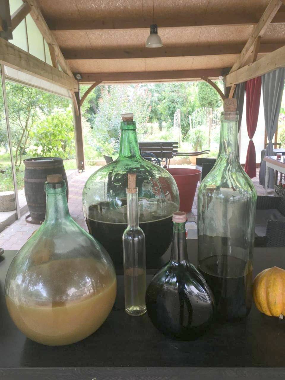 L'Art Dit Vin in Saint-Aigulin, Région de Jonzac