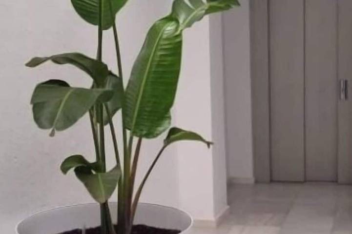 Appartement de vacances pour 4 personnes - 1