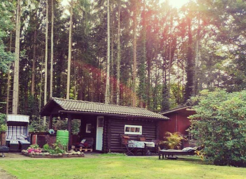 Casa Foresta - minimalistisches 1-Raum Tiny House direkt am Wald in Wingst, Cuxland
