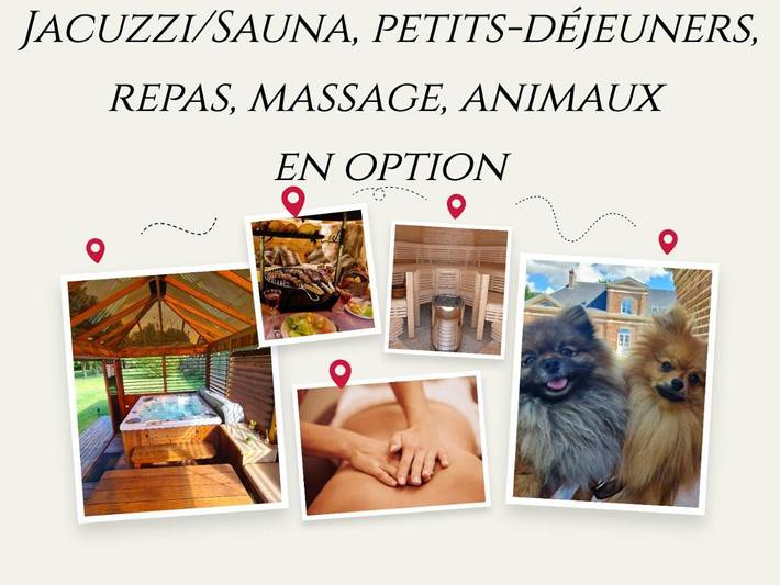 Location de vacances pour 2 personnes, avec sauna ainsi que jardin et jacuzzi à Saint-Blimont - 3