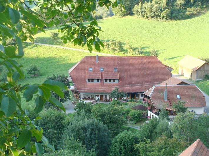 Gîte pour 9 personnes, avec Balcon et Terrasse ainsi que Jardin et Vue à Mühlenbach