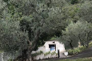 Agriturismo per 9 Persone in Poggio Catino, Terminillo, Foto 3