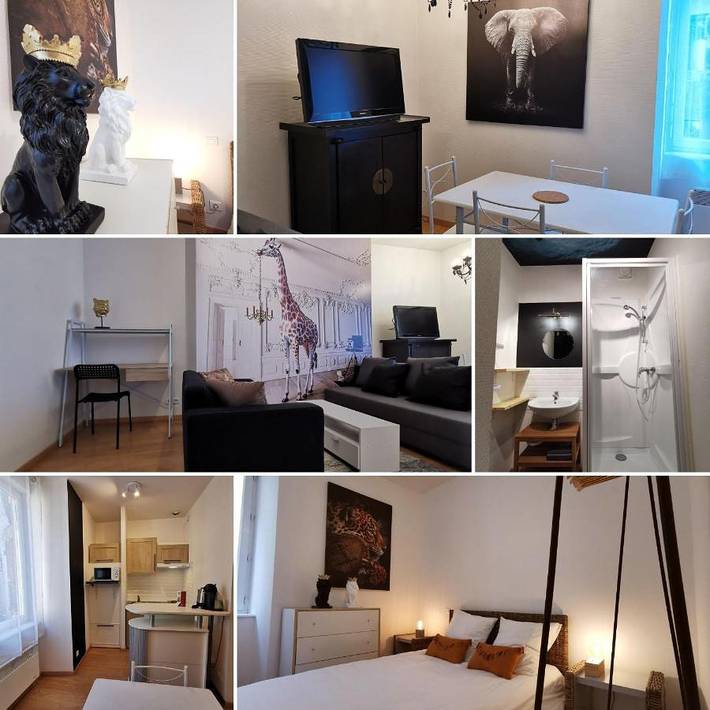 Gîte pour 4 personnes, animaux acceptés à Rodez - 4
