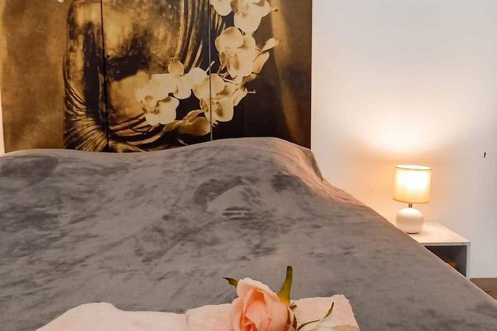 Ganze Wohnung, Homerez - Wohnung - Salon-de-Provence in Salon-de-Provence, Mittelmeerküste (Frankreich)