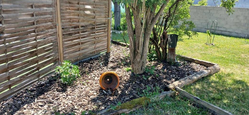 Location de vacances pour 5 personnes, avec jardin à Cléry-Saint-André - 3