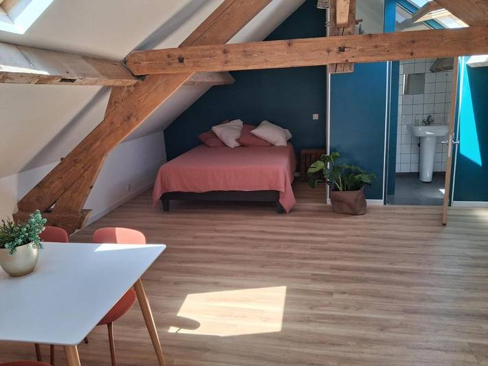 Maison d’hôte pour 5 personnes, avec vue ainsi que jardin et terrasse, adapté aux familles à Noyers-sur-Cher - 3