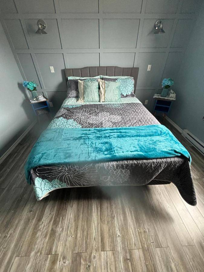 Location de vacances pour 4 personnes, avec vue et terrasse, animaux acceptés dans Twillingate - 3