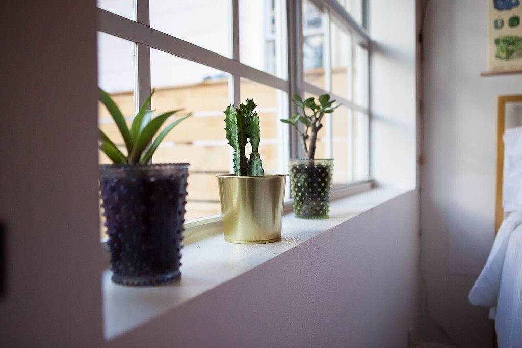 The Little Pink Guest Suite in Tampa, Tampa Bay