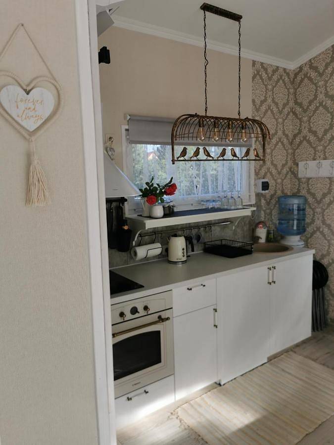 Location de vacances pour 6 personnes, avec jardin ainsi que vue et sauna, animaux acceptés dans Kolka - 3