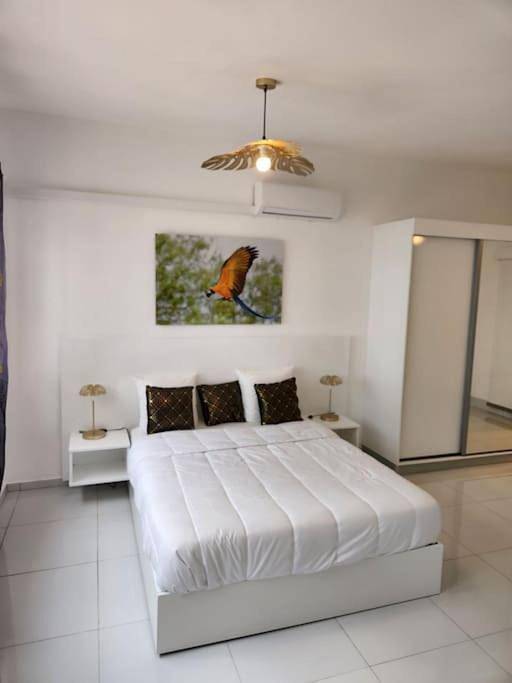 Gîte pour 2 personnes, avec jardin et vue à Saint-Laurent-du-Maroni - 2