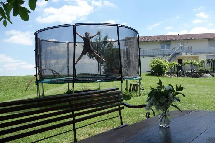 Ferienwohnung für 4 Personen, mit Balkon und Terrasse sowie Garten in Schlier - 3