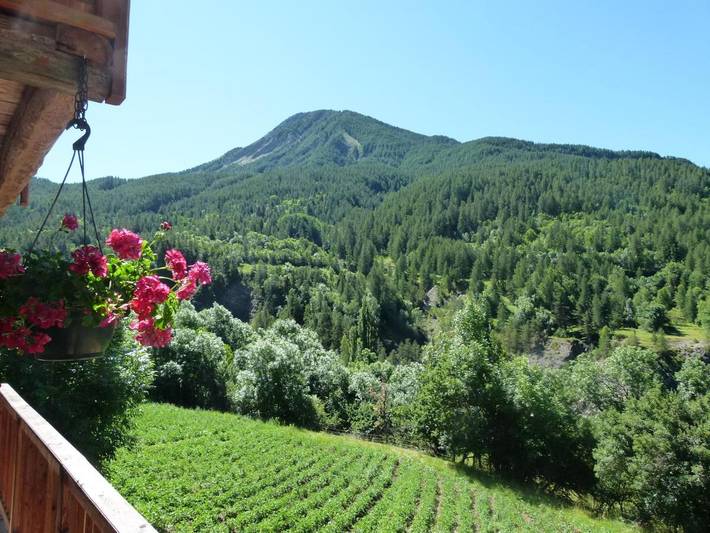 Gîte pour 5 personnes, avec jardin et vue à Colmars - 2