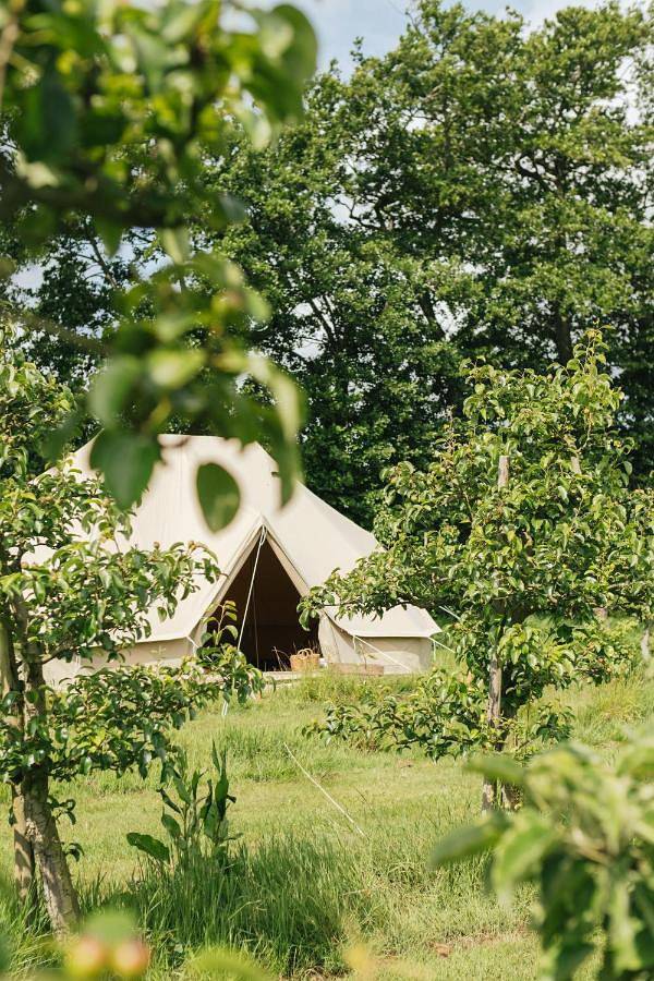 Zelt für 2 Personen, mit Terrasse und Garten sowie Sauna und Ausblick in De Waal - 3