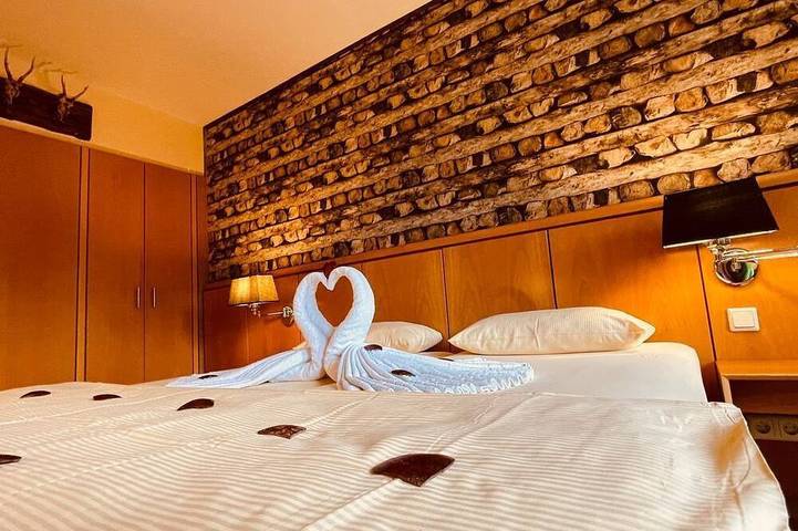 Doppelzimmer - Hotel Salischer Hof in Schifferstadt, Rheinebene