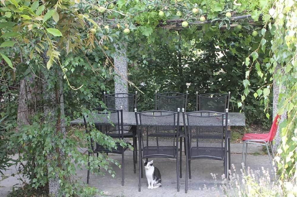 Apartamento entero, Studio with terrace (7 minutes from Vercorin) in Chalais (Suiza), Alpes del Valais