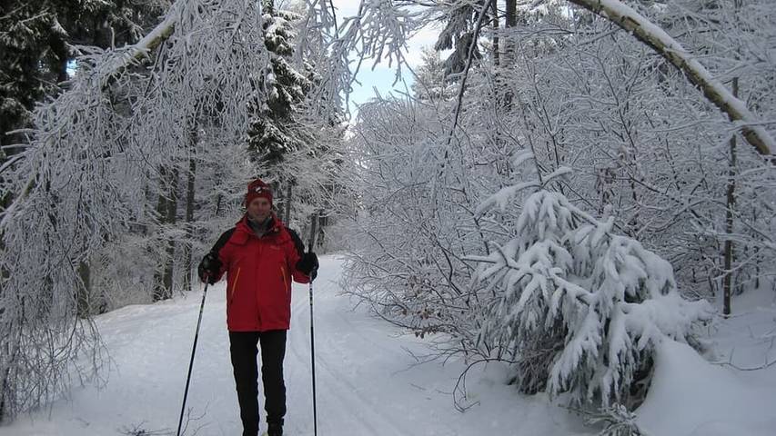 Ferienhaus für 4 Personen, mit Garten, kinderfreundlich in Waldmünchen - 4