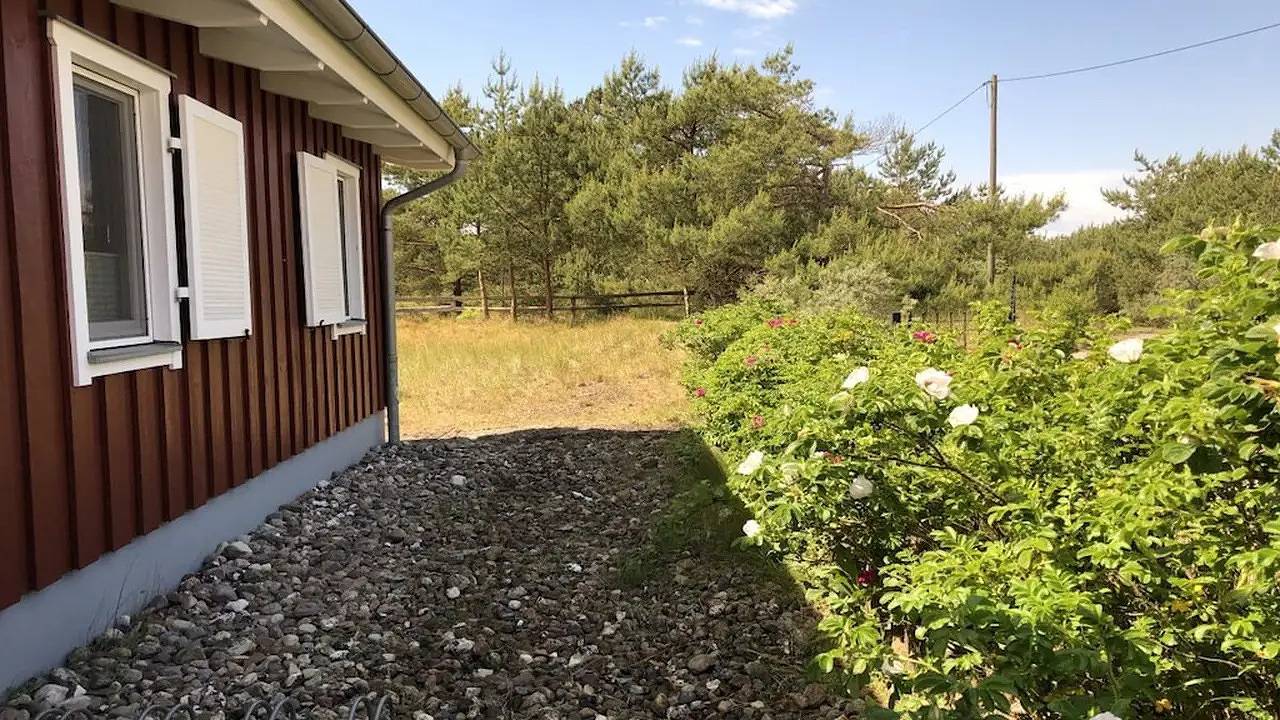 Ferienhaus für 4 Personen (65 m²) in Prerow in FKK-Strandabschnitt (Prerow), Born am Darß