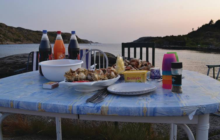 Ferienhaus für 6 Personen, mit Terrasse in Lyngdal - 4