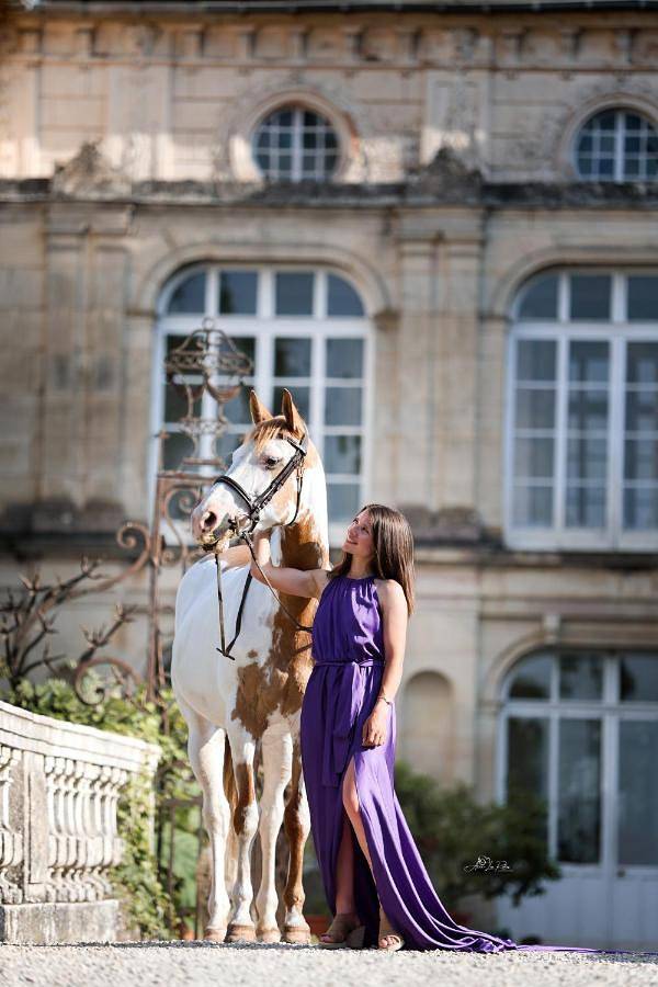 Maison d’hôte pour 2 personnes, avec jardin et vue, animaux acceptés en Bourgogne - 4