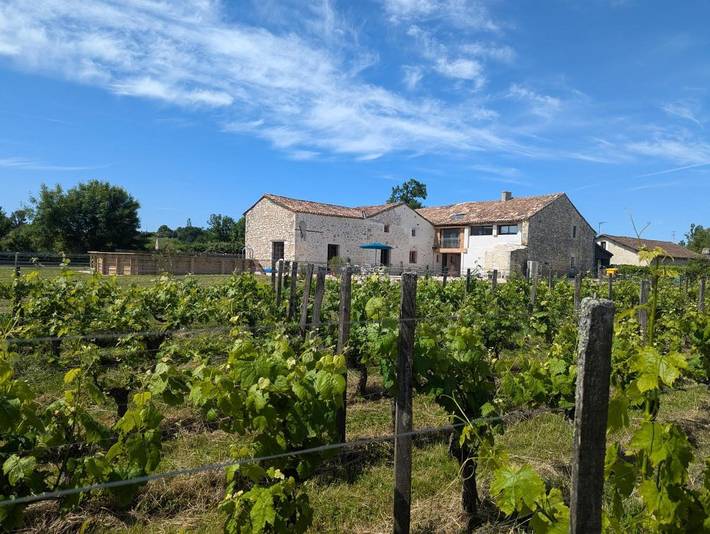 Location de vacances pour 18 personnes, avec jacuzzi ainsi que piscine et jardin, adapté aux familles à Sigoulès