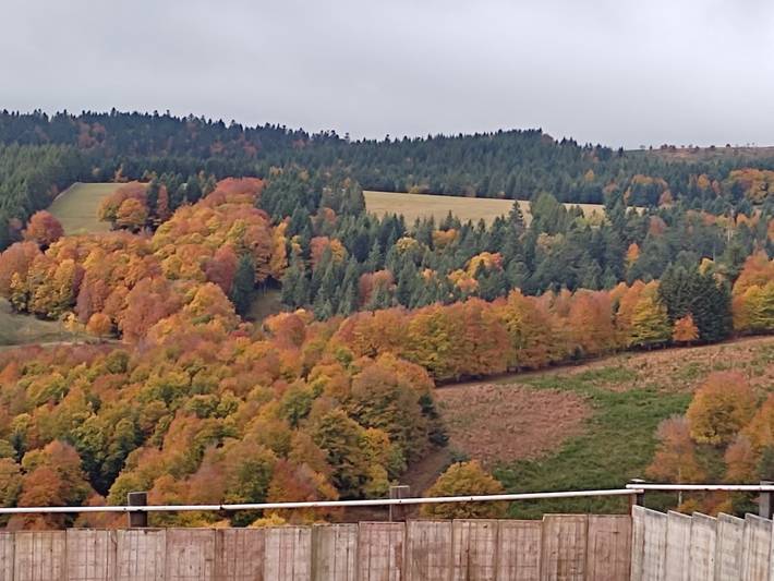 Location de vacances pour 5 personnes en Ardèche - 4
