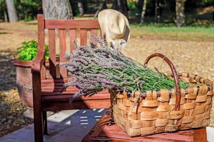 Agriturismo for 10 people - 1