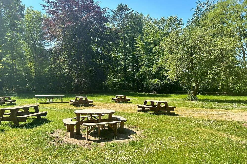 Ganze Wohnung, Kuschelige Ferienwohnung in Alleinlage mitten im Wald in Bohmstedt, Eider-Treene-Sorge