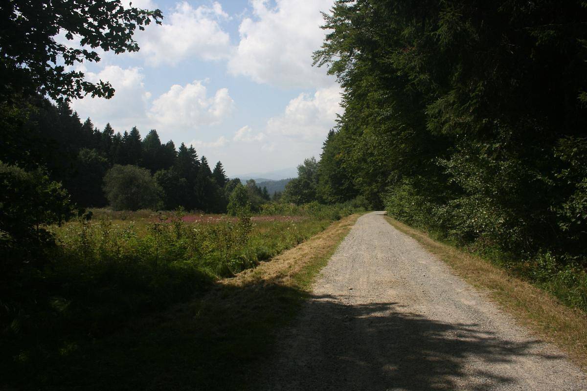 Ferienhaus Toso - Nurdach-Ferienhaus Toso für 5 Personen in Freyung, Ostbayern