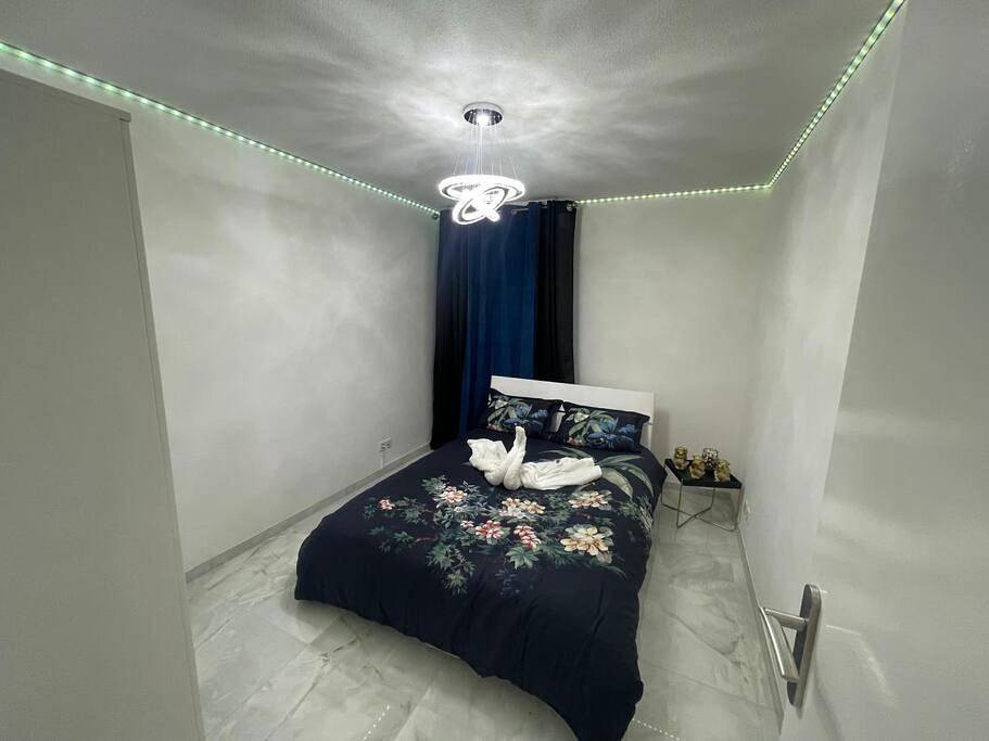 Geheel appartement, Golden seconds in Straatsburg, Strasbourg regio