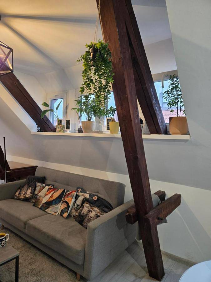 Cały apartament, One-Bedroom Apartment in Bytom, Śląsk