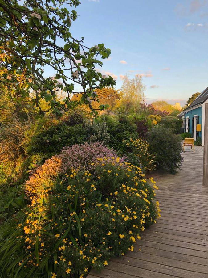 Chambre d’hôte pour 2 personnes, avec terrasse ainsi que jardin et vue à Belle-Île-en-Mer - 4