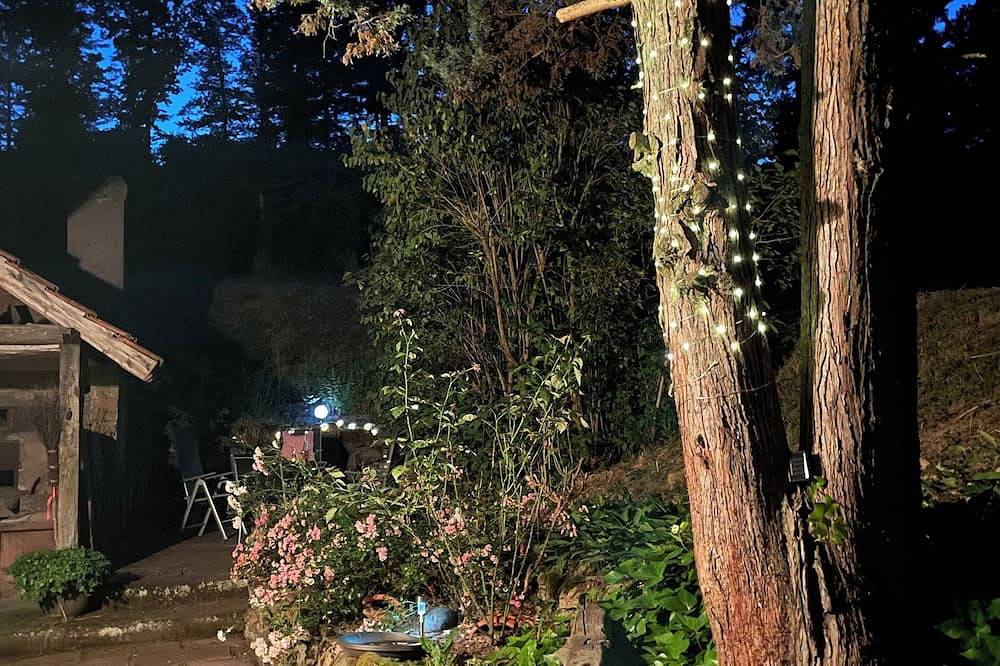 Vineyard house in Durbach in the middle of the vineyards, quiet location with feel-good character in Durbach, Central Black Forest