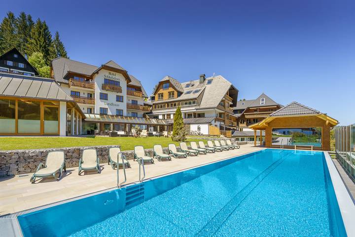 Hotel für 2 Personen, mit Terrasse und Sauna sowie Garten in Feldberg - 3