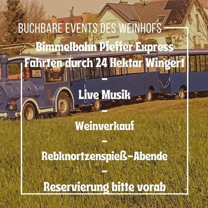Ferienwohnung für 3 Personen, mit Balkon und Terrasse in Klingenmünster - 4