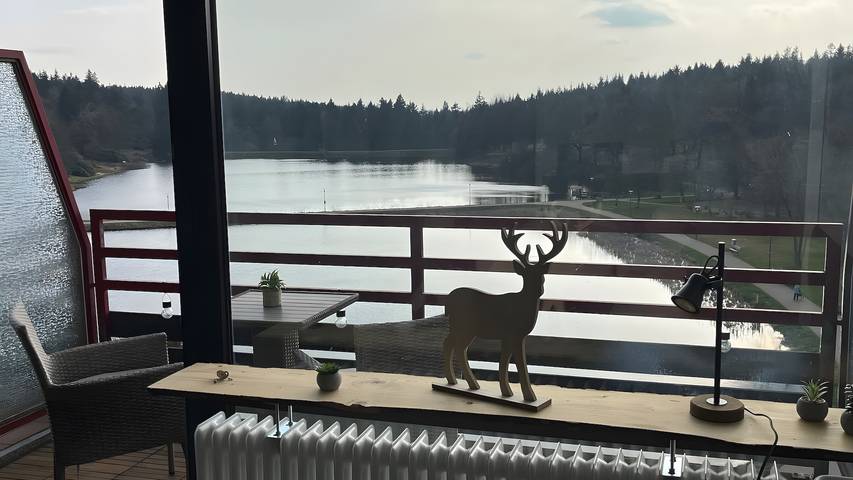 Ferienwohnung für 3 Personen, mit Seeblick und Balkon in Goslar - 4