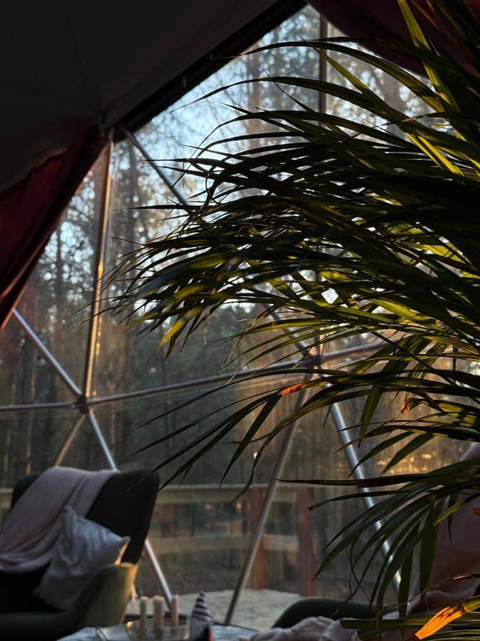 Kamieńczyk Glamp - pod Warszawą in Mazowsze