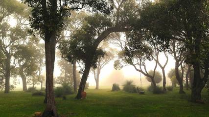 Holiday Home for 8 People in Yallingup, Western Australia, Photo 1