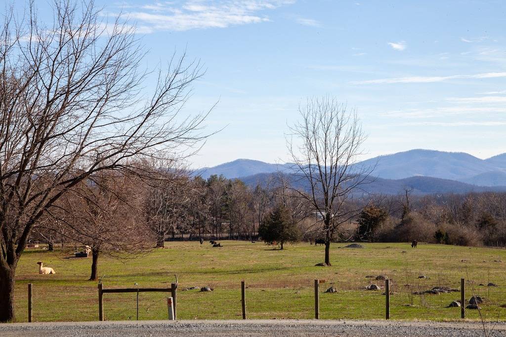 Birds and Bees Cottage in Shenandoah Nationalpark