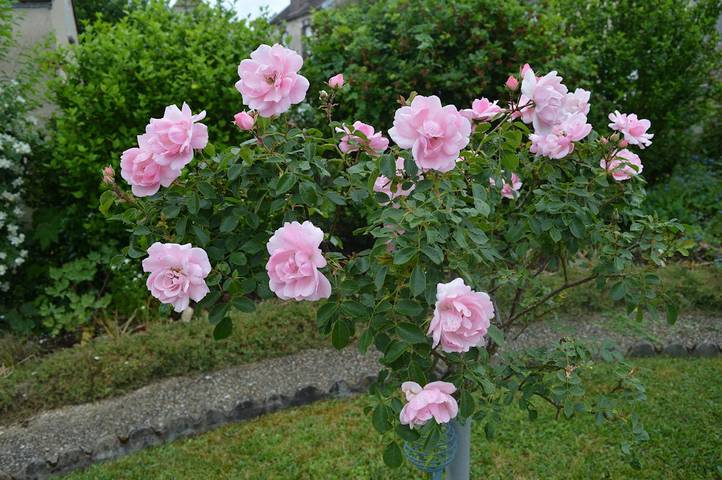 Location de vacances pour 2 personnes, avec jardin en Bourgogne - 3