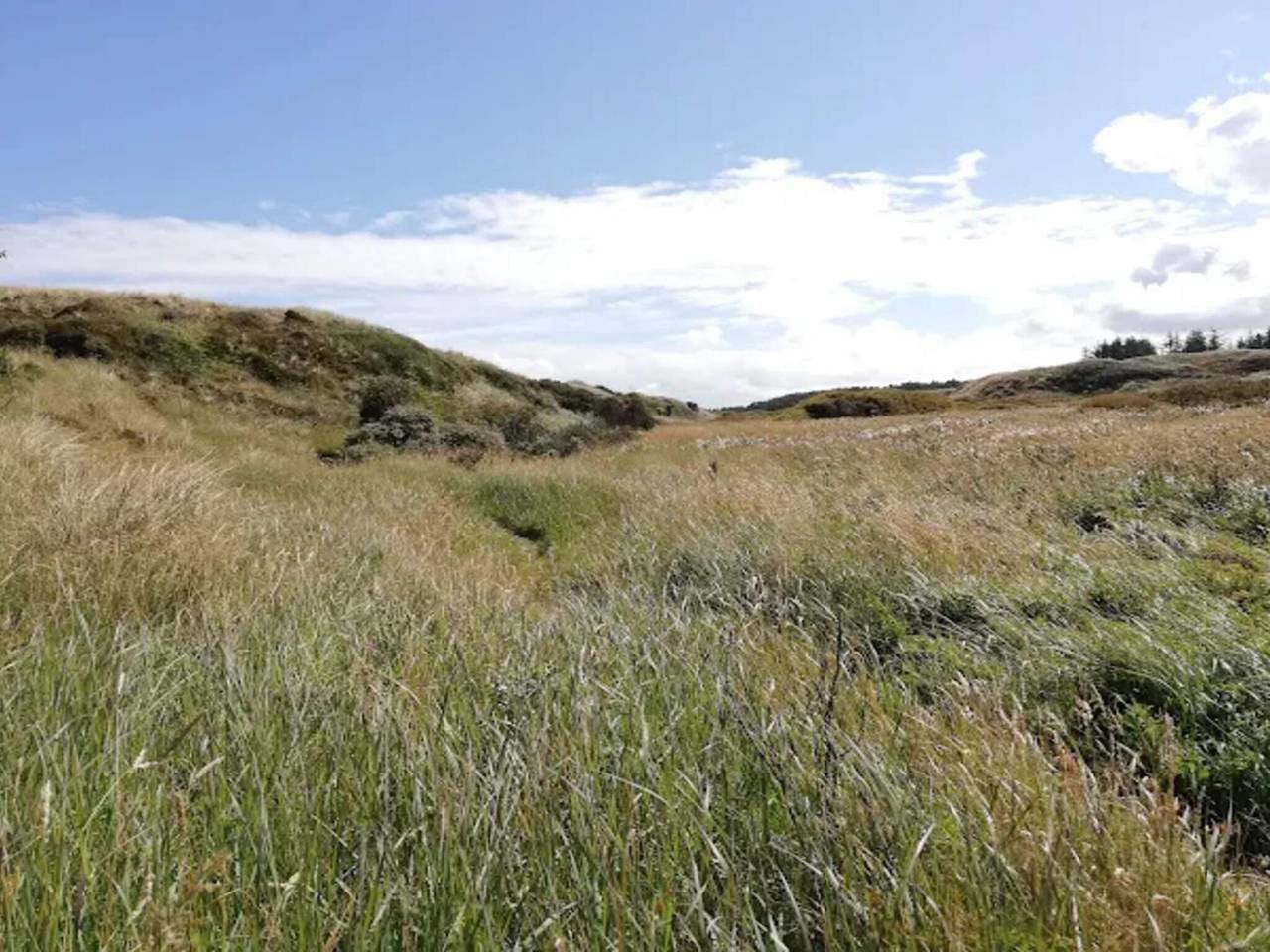 5 Personen Ferienhaus in Ålbæk-By Traum in Skiveren, Tannisbucht