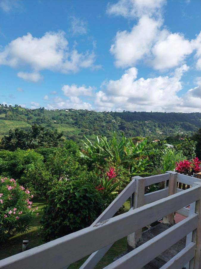 Gîte pour 2 personnes, avec piscine ainsi que vue et jardin à Le Lorrain (Martinique) - 4